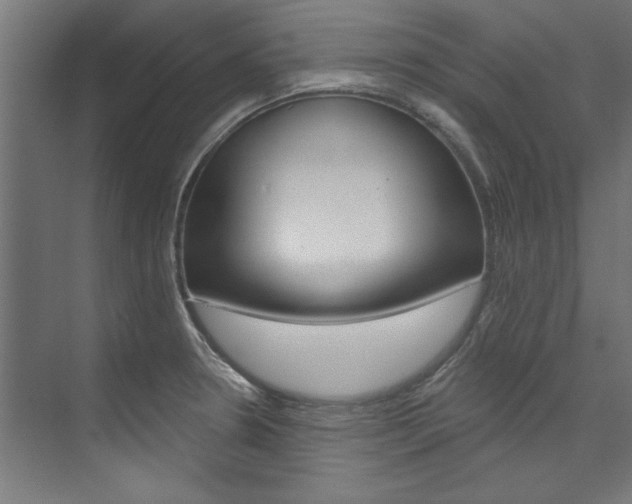 X0000074281330200608250926