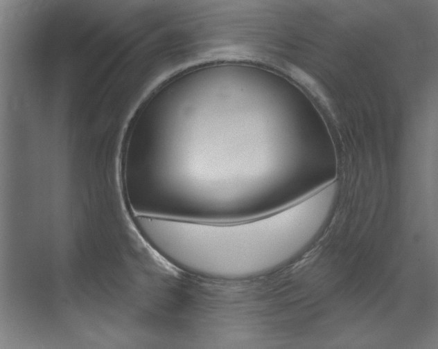 X0000074281334200608250926