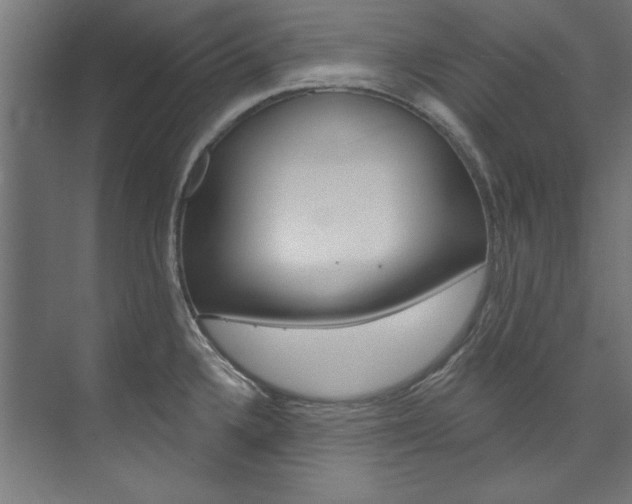 X0000074281336200608250926