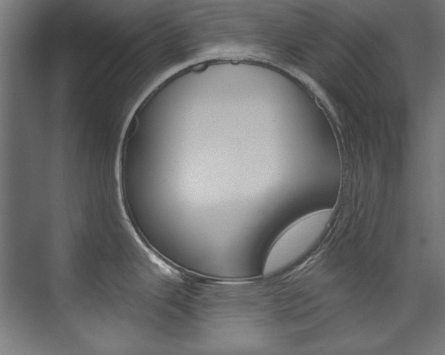 X0000074281343200608250926