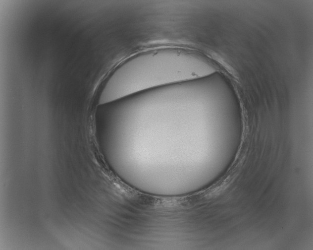 X0000074281357200608250925