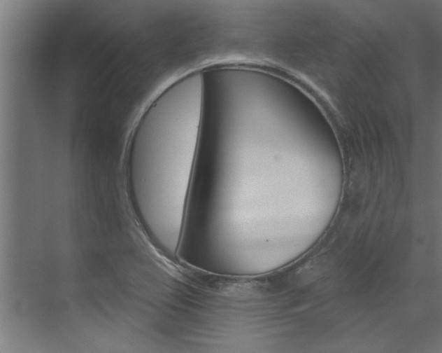 X0000074281367200608250925