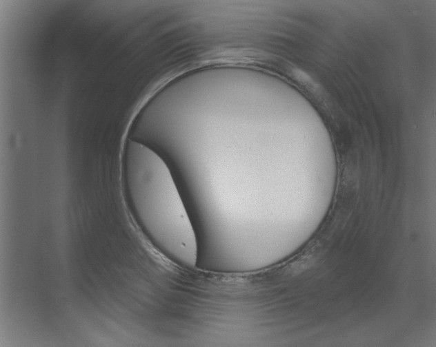 X0000074281370200608250925