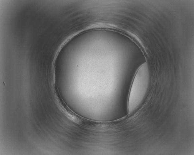 X0000074281371200608250925
