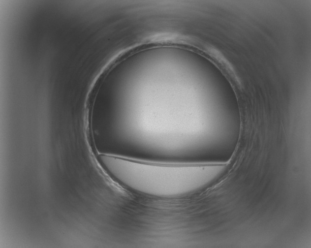 X0000074281376200608250925