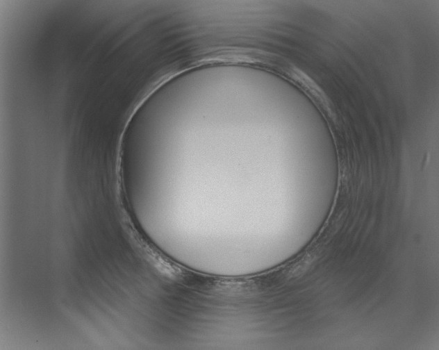 X0000074281378200608250925