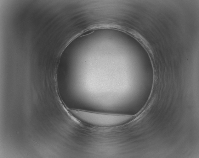 X0000074281385200608250925