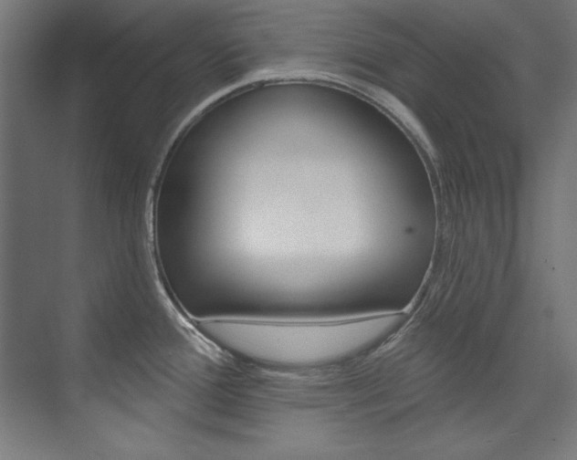 X0000074281388200608250924