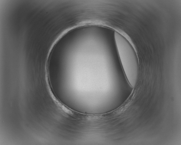 X0000074281389200608250924