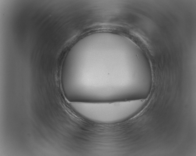 X0000074281403200608250924
