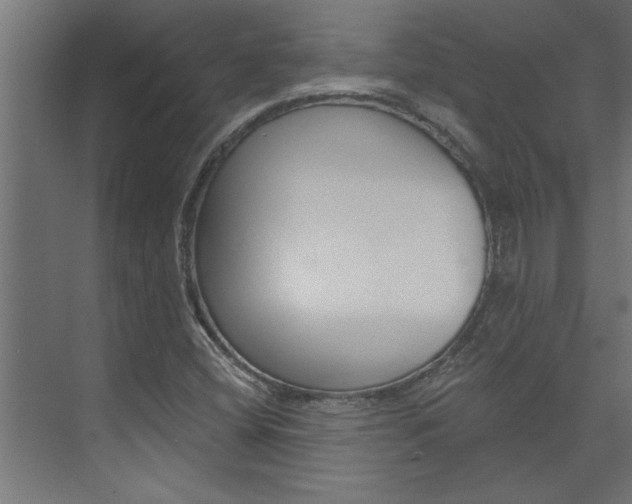 X0000074281404200608250924