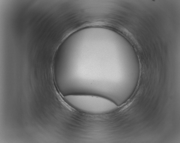 X0000074281417200608250924