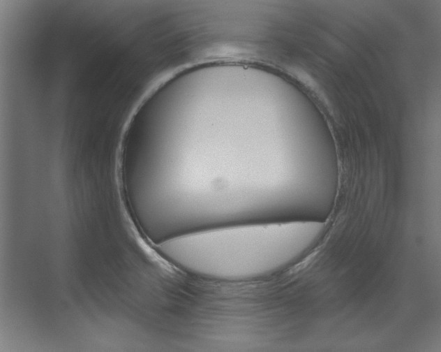 X0000074281421200608250924