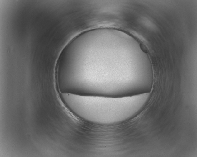 X0000074281423200608250924