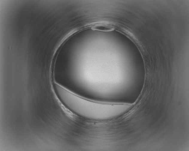 X0000074281426200608250924