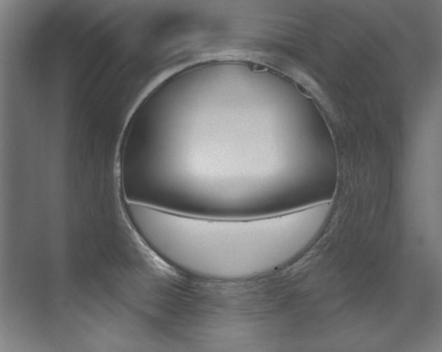 X0000074281428200608250924