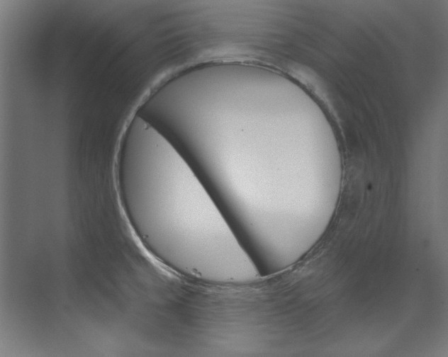 X0000074281429200608250924