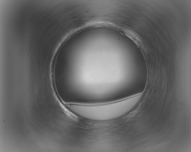 X0000074281430200608250924
