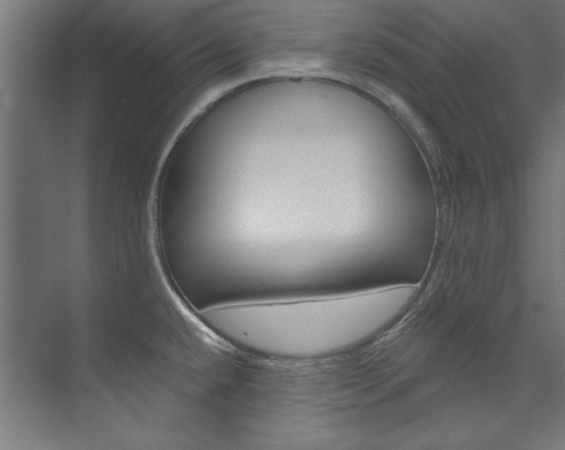 X0000074281432200608250924