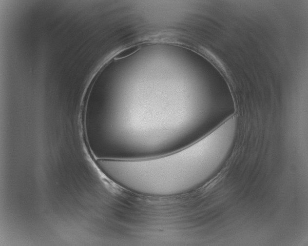 X0000074281434200608250924