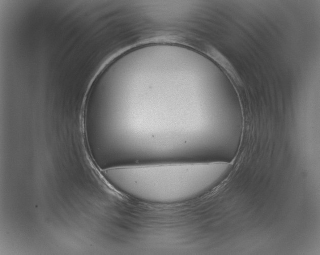 X0000074281436200608250924