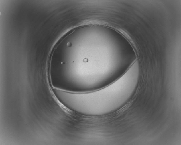 X0000074281438200608250924