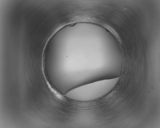 X0000074281439200608250924