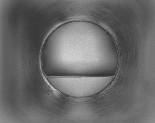 X0000074281440200608250924