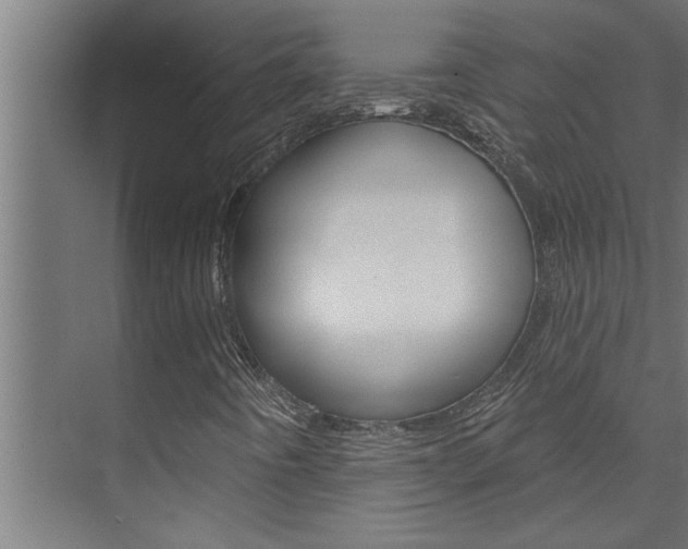 X0000074281442200608250924