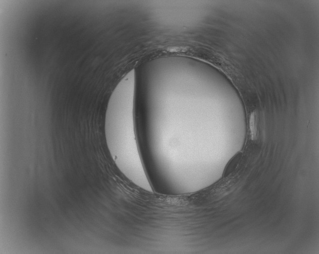 X0000074281443200608250924