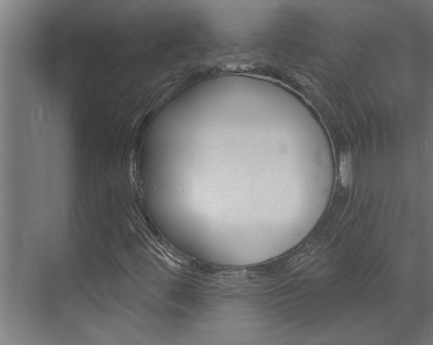 X0000074281444200608250924
