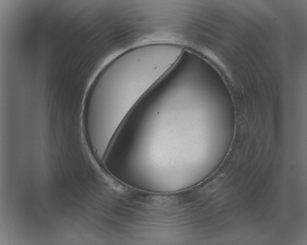 X0000074281469200608250923
