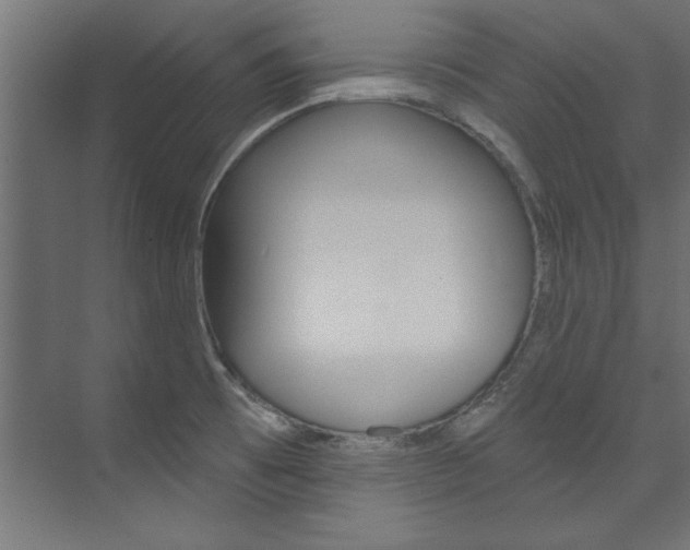 X0000074281473200608250923