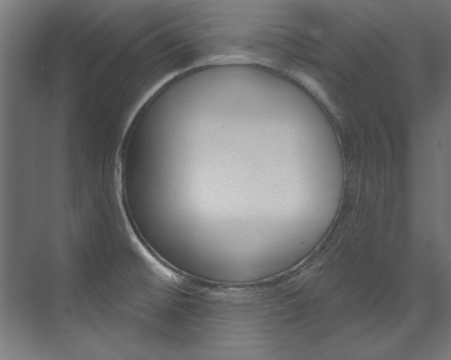 X0000074281476200608250923