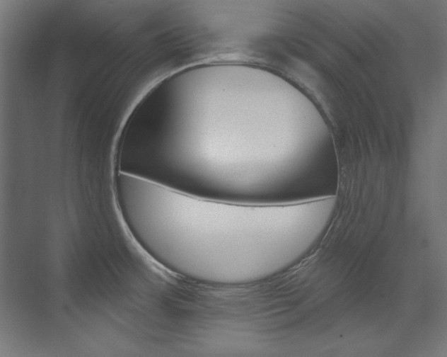 X0000074281483200608250923