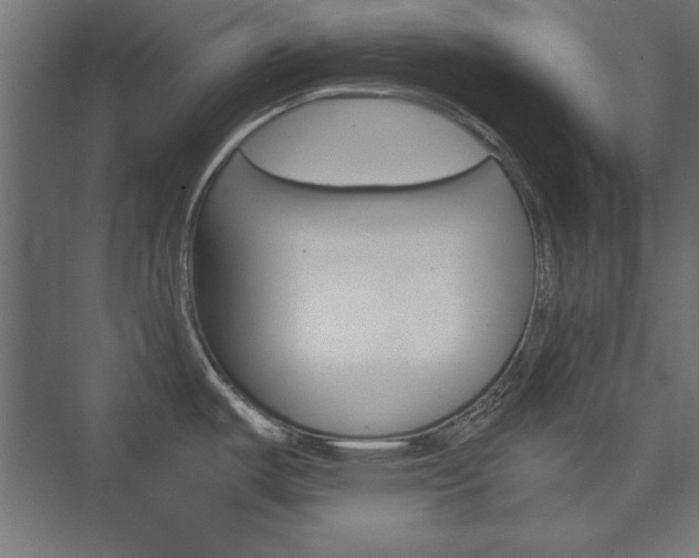 X0000074281487200608250923