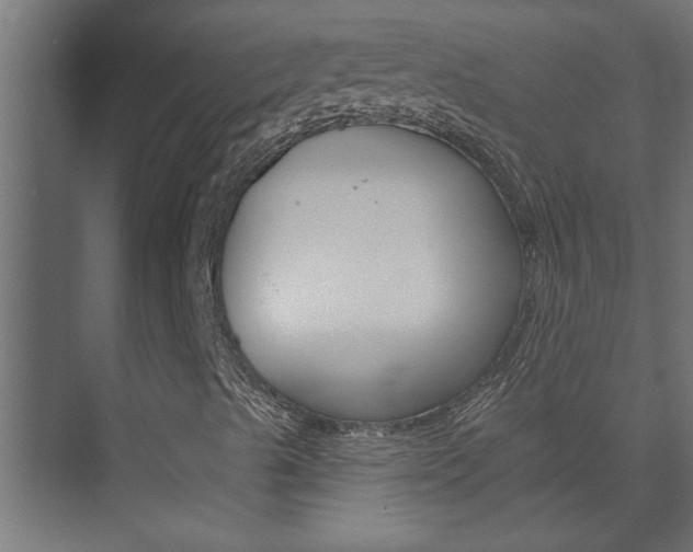 X0000074281489200608250922
