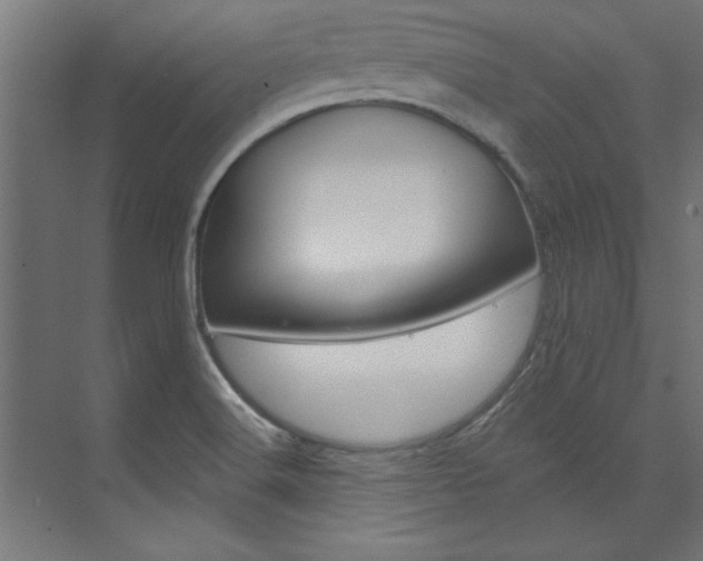 X0000074281516200608250922