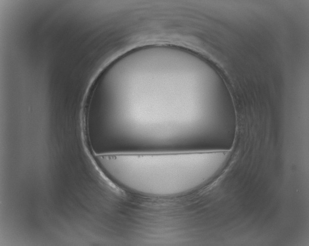 X0000074281517200608250922