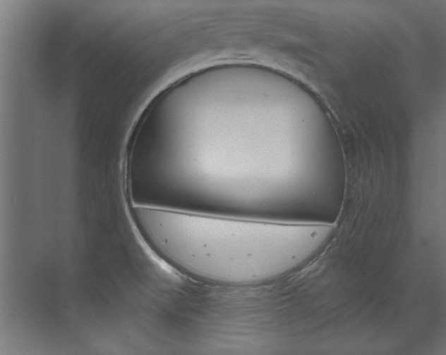X0000074281519200608250923