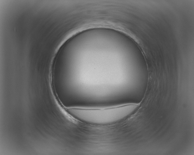 X0000074281523200608250923