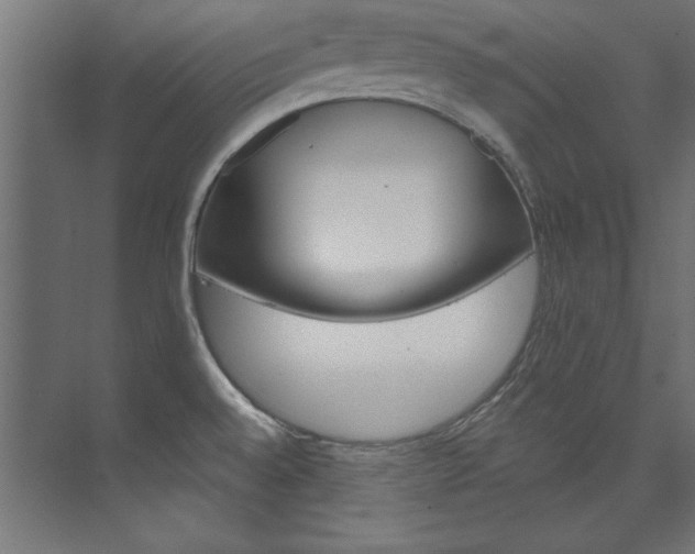 X0000074281528200608250923