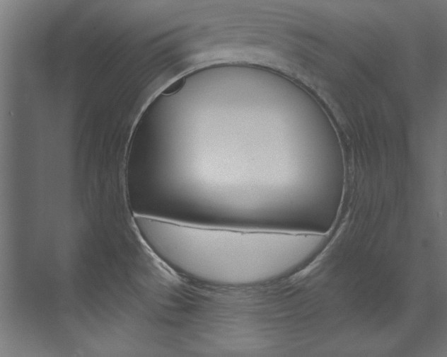 X0000074281529200608250923