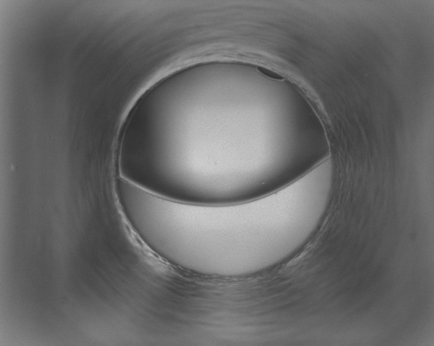 X0000074281530200608250923