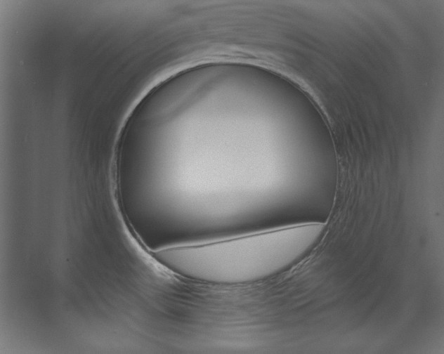 X0000074281531200608250923