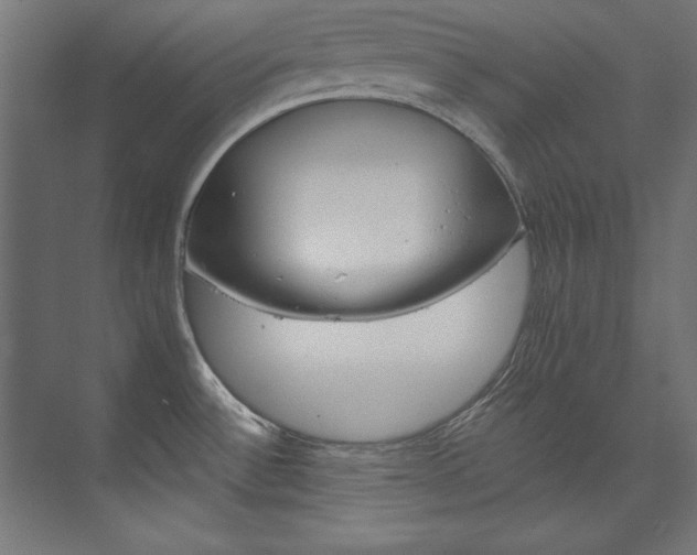 X0000074281532200608250923