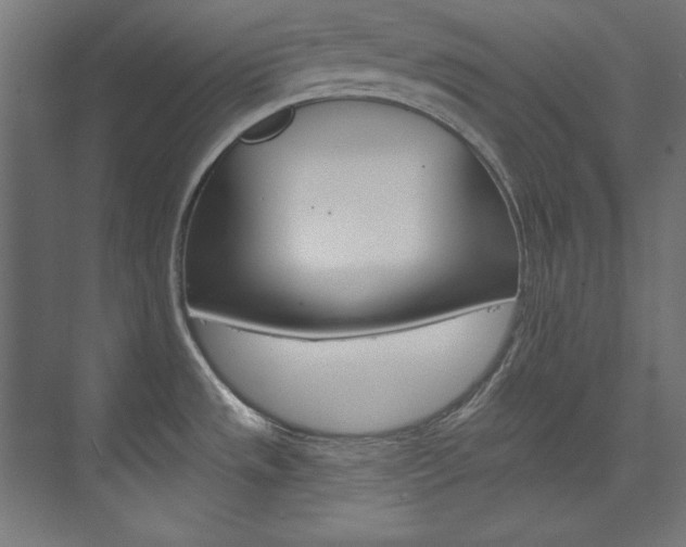 X0000074281533200608250923