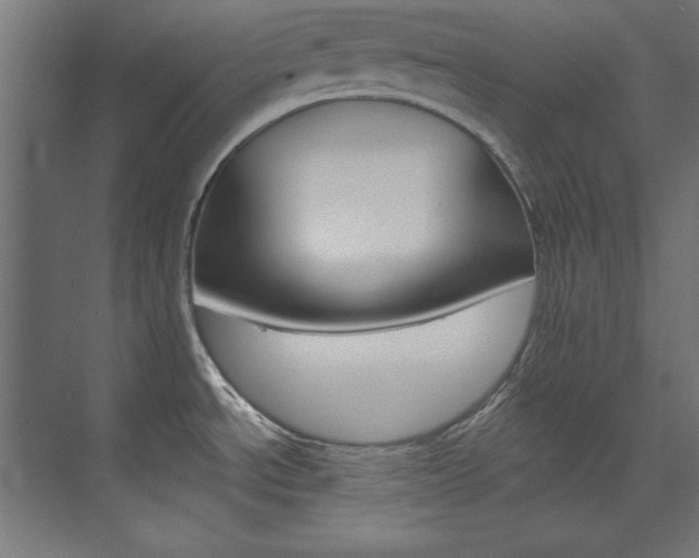 X0000074281534200608250923