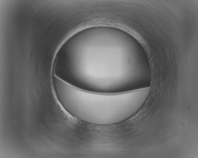 X0000074281536200608250923