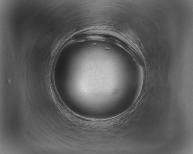 X0000074280001200608251330